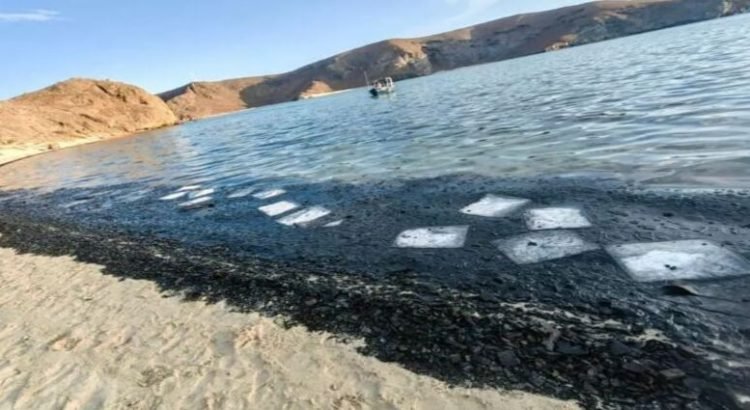 “Daño ecológico ocasiona cierre en Playa de BCS”