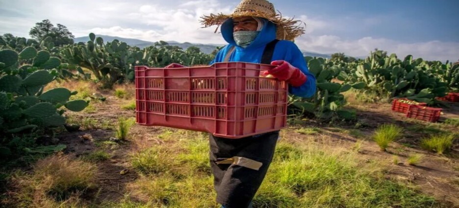 Inicia programa “Fertilizantes Para el Bienestar” en apoyo a agricultores