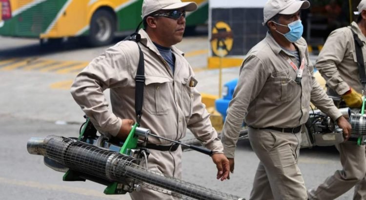 Reporta Puebla más de mil personas contagiadas de dengue Reporta Puebla más de mil personas contagiadas de dengue