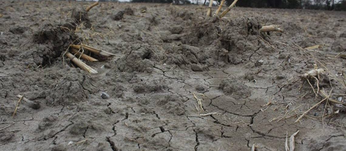 Registra Puebla 57% de sequía