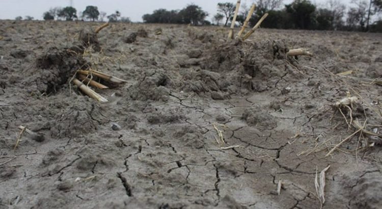 Registra Puebla 57% de sequía Registra Puebla 57% de sequía