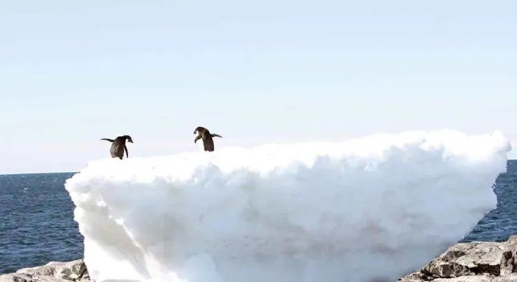 En su nivel más reducido el hielo marino de la Antártida En su nivel más reducido el hielo marino de la Antártida