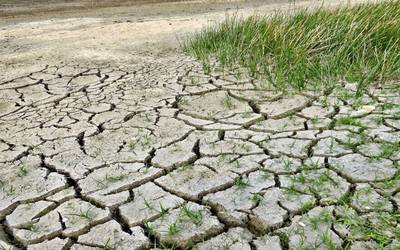 Reportan sequía extrema en 27 municipios de Puebla