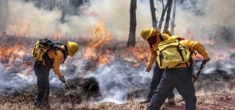 Incendios forestales en Puebla: más de 29 mil hectáreas destruidas en 2024