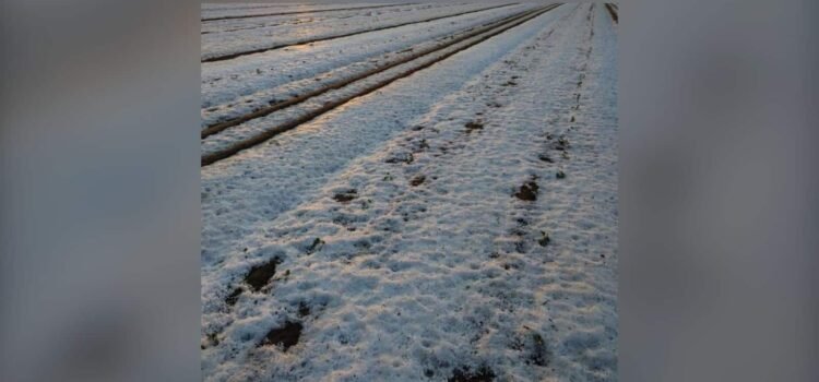 Granizada causa graves daños en Zacatepec y municipios cercanos de Puebla
