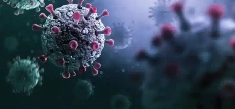 Emite la OMS alerta por virus Stratus