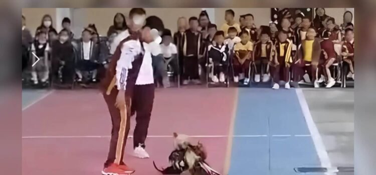 Peleas de gallos generan rechazo en escuela de Tehuacán, Puebla