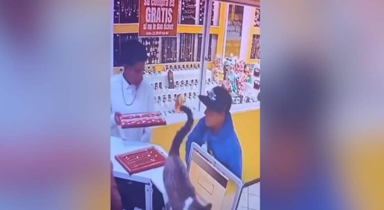 Puebla, entre los estados con más robos a comercios