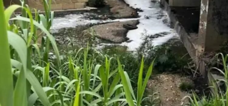 Descendió México en el Índice de Desempeño Ambiental 2024