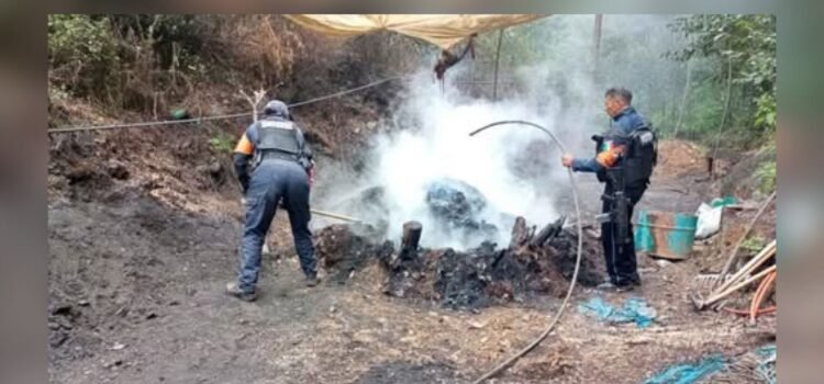 28 hornos clandestinos destruidos en Puebla