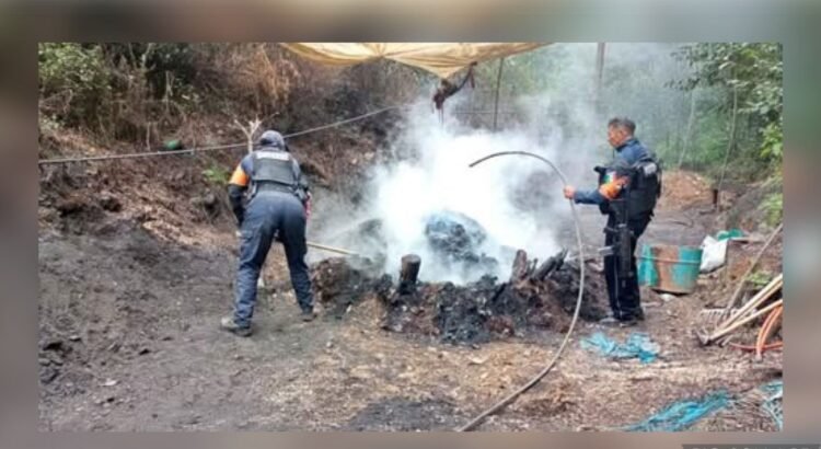 28 hornos clandestinos destruidos en Puebla