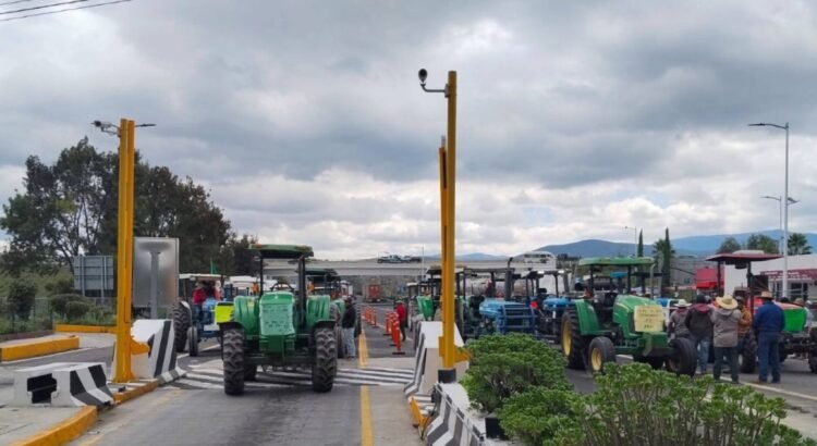Productores de maíz de Tepanco de López protestan por precios bajos