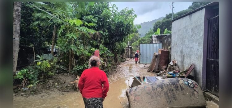 Más de 3 mil 300 viviendas han sido censadas tras daños en Puebla