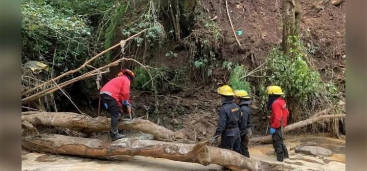 “Jerry” deja 19 muertos en la Sierra Norte de Puebla “Jerry” deja 19 muertos en la Sierra Norte de Puebla