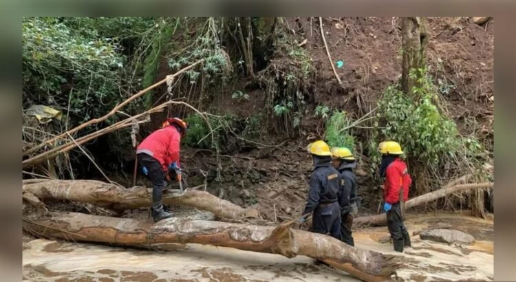 “Jerry” deja 19 muertos en la Sierra Norte de Puebla