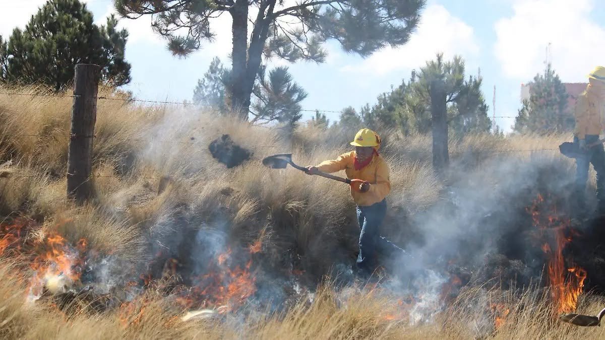 Puebla registra incendios en 51 municipios; Tlachichuca concentra la mayor cifra